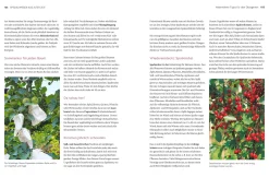 Garten & Natur|Ratgeber * Gräfe und Unzer Verlag Altes Gärtnerwissen wieder entdeckt