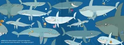 Kinderbücher|Kinderbücher * Penguin JUNIOR Anders? Genau richtig!
