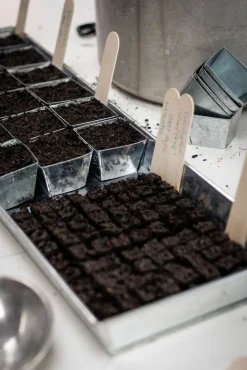 Pflanzenvermehrung * W.E.T. BY POT OLÉ ApS Anzuchtplatte mit Einzeltöpfen