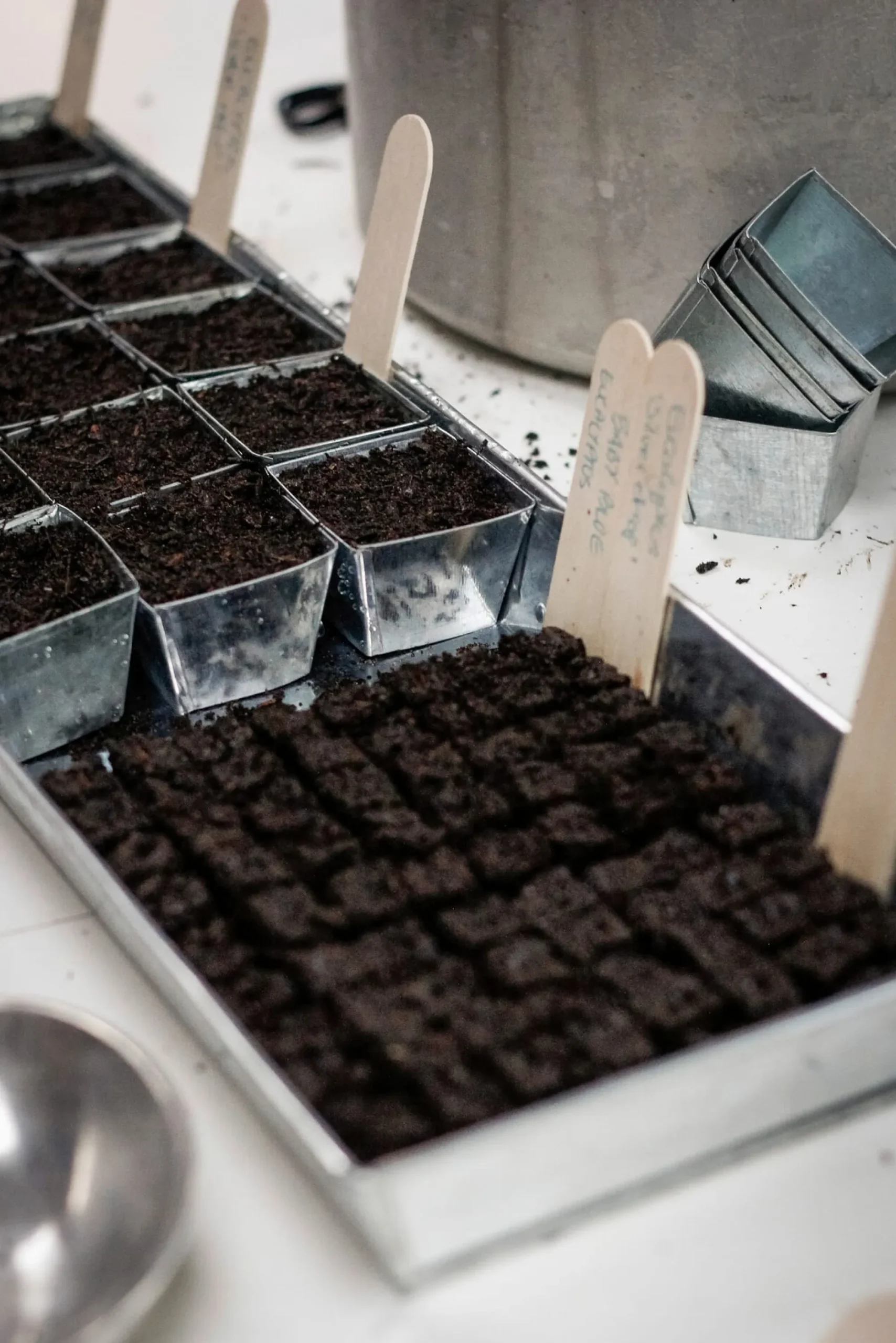 Pflanzenvermehrung * W.E.T. BY POT OLÉ ApS Anzuchtplatte mit Einzeltöpfen