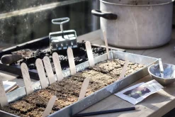 Pflanzenvermehrung * W.E.T. BY POT OLÉ ApS Anzuchtplatte mit Einzeltöpfen