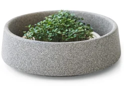 Gemüsesamen|Gemüsepflanzen * Denk Keramische Werkstätten Anzuchtschale für Microgreens