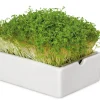 Gemüsesamen|Gemüsepflanzen * Heimgart Anzuchtset Microgreens