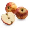 Obstgehölze * Manufactum Apfel für Allergiker