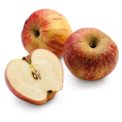 Obstgehölze * Manufactum Apfel für Allergiker