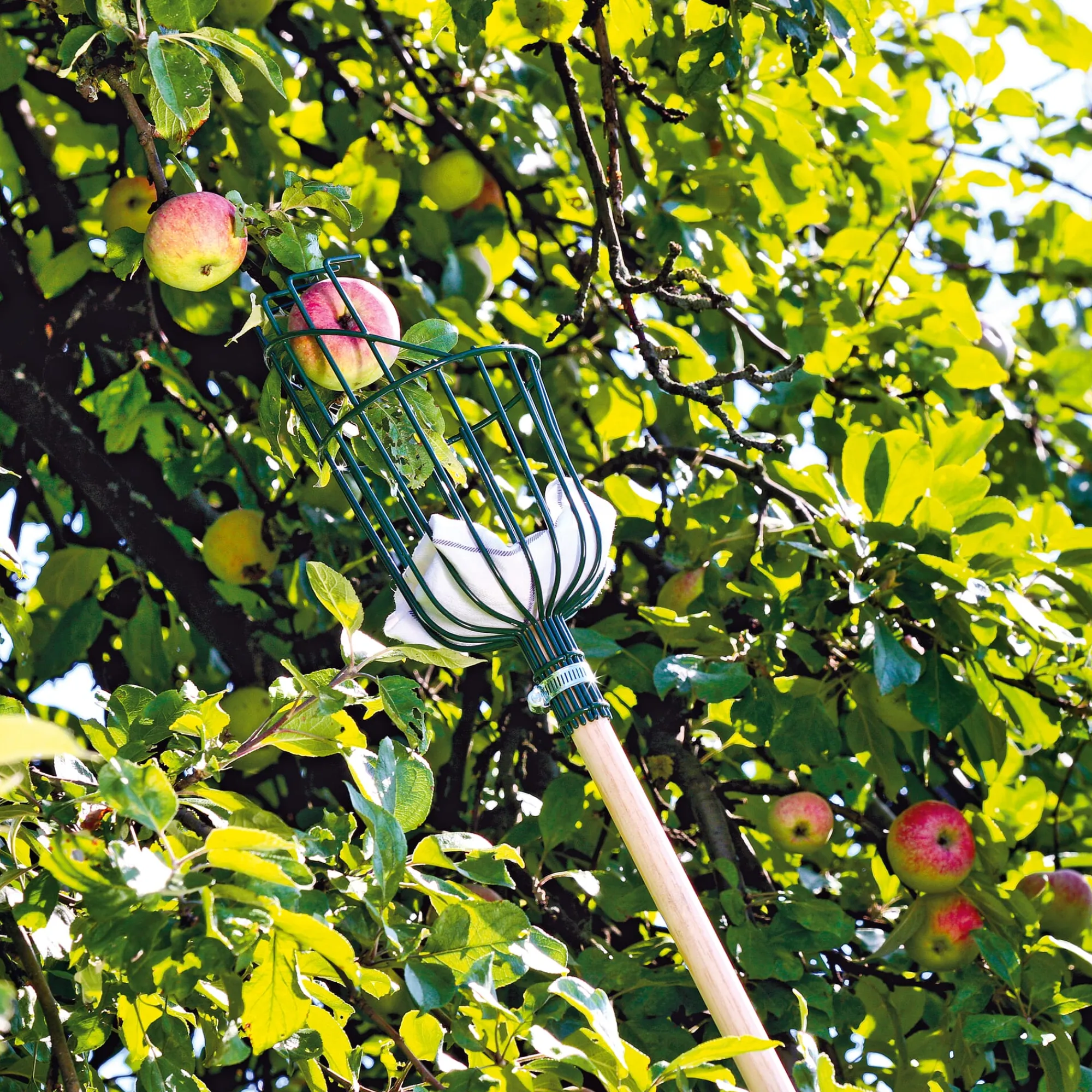 Transport & Ernte * Burgon & Ball Apfelpflücker Drahtkorb