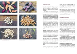 Garten & Natur|Kochen & Backen * AT Verlag Ausgegraben - Süßkartoffel, Yacon & Co.