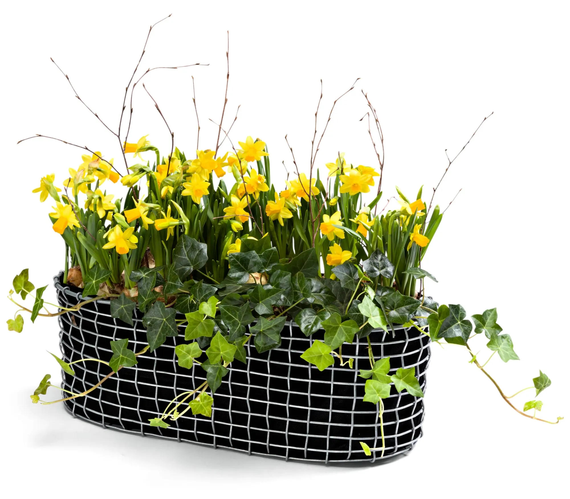 Blumenbänke & -Kästen|Pflanzgefäße * Korbo Balkonkasten