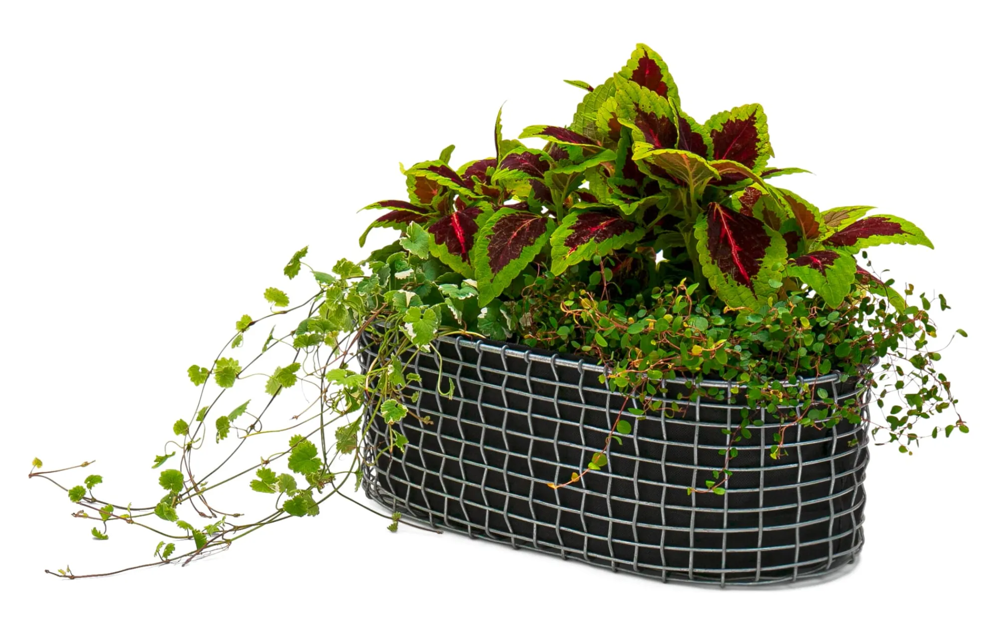 Blumenbänke & -Kästen|Pflanzgefäße * Korbo Balkonkasten