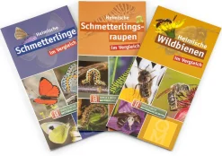 Garten & Natur|Kinderbücher * Quelle ＆ Meyer Verlag Bestimmungskarten Insekten (3 Stück)