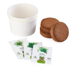 Gemüsesamen|Gemüsepflanzen * ARIES Umweltprodukte® Bio-Aussaatset Italienische Küchenkräuter