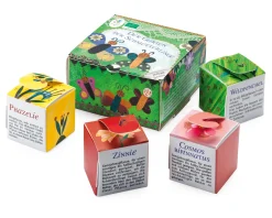 Blumensamen|Gärtnern * Hädecke Verlag Bio-Blumensamen Samenwürfel für Schmetterlinge