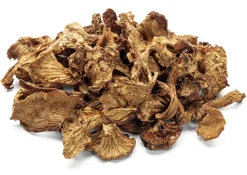 Getrocknete Pilze * Pilze Wohlrab Bio-Pfifferlinge getrocknet