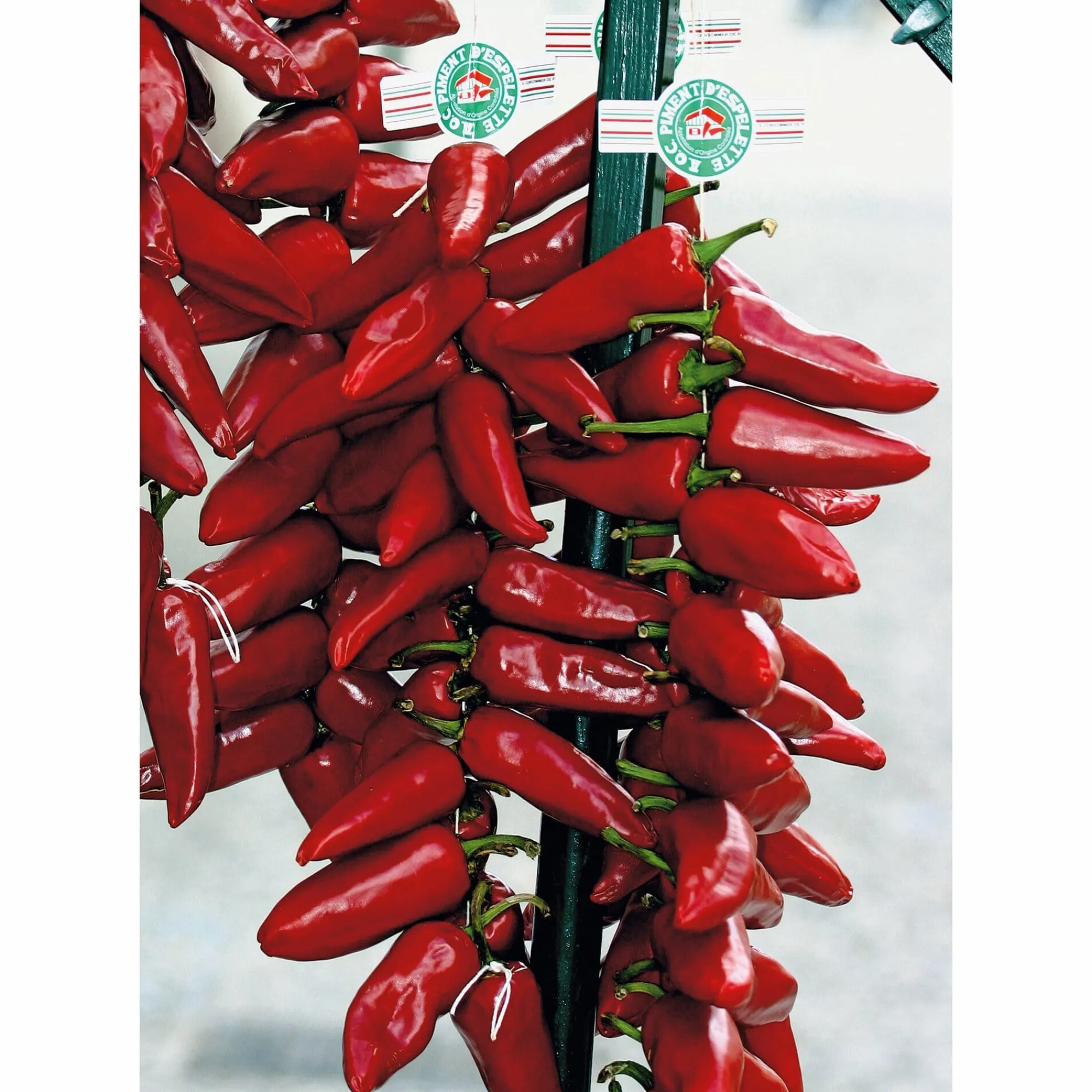Gewürze * GP Pays Basque Bio-Piment d’Espelette