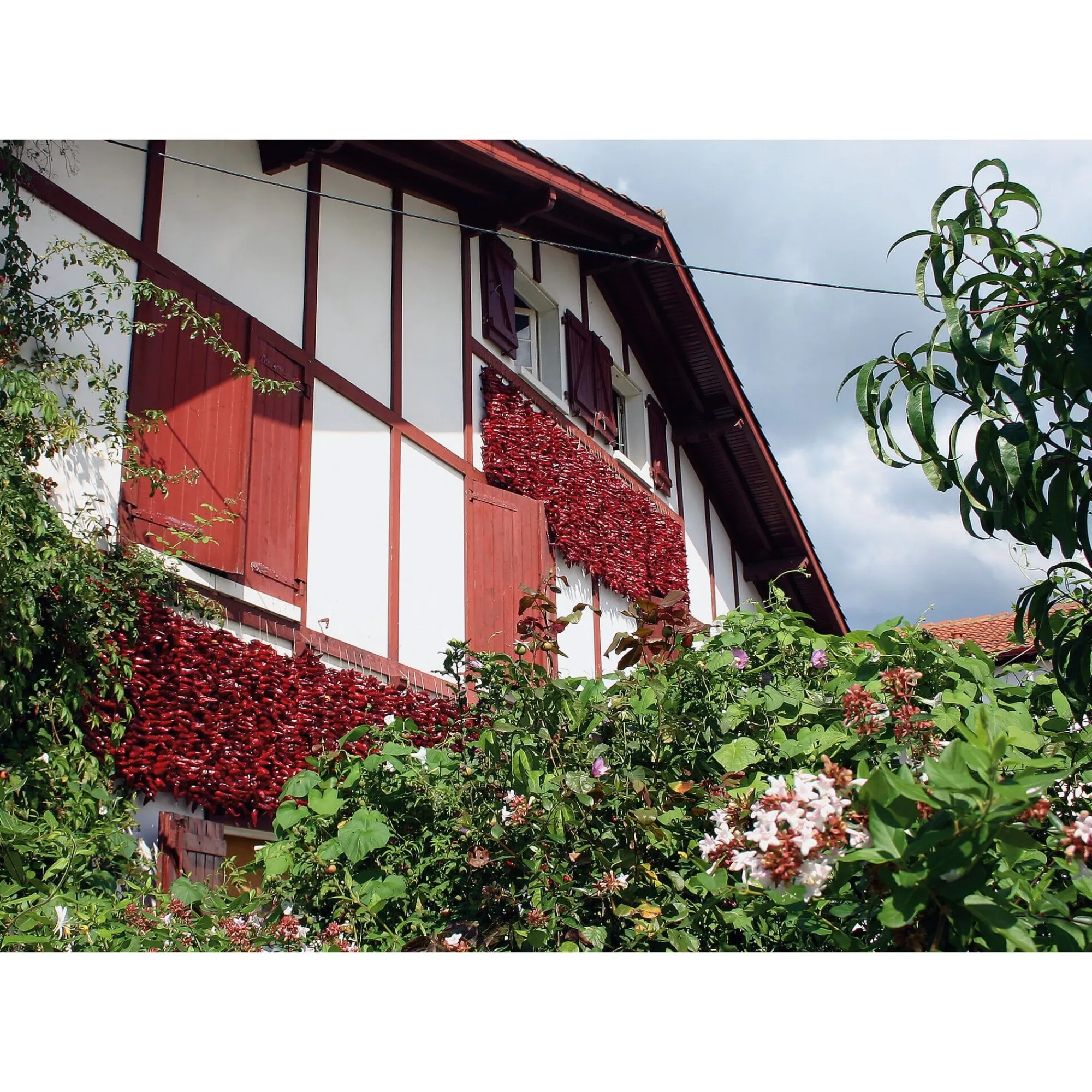 Gewürze * GP Pays Basque Bio-Piment d’Espelette