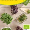 Gemüsesamen|Gemüsepflanzen * Samen-Fetzer Bio-Saatgut Microgreens