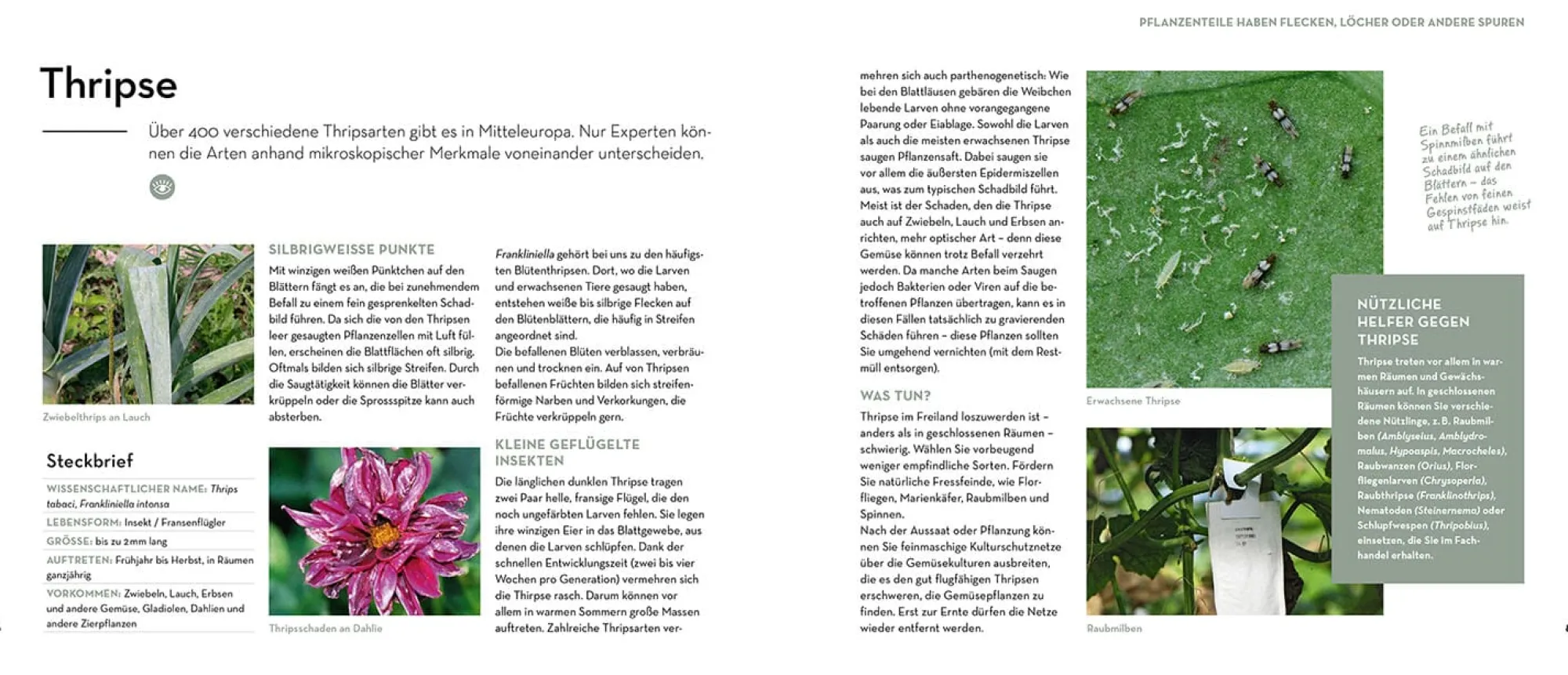 Garten & Natur|Ratgeber * Kosmos Verlag Bist du noch zu retten?