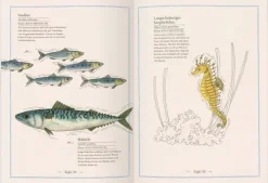 Ratgeber * Gerstenberg Verlag Blauwal, Seestern, Oktopus