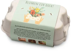 Blumensamen * Blossombs Blumenkugeln im Geschenkkarton