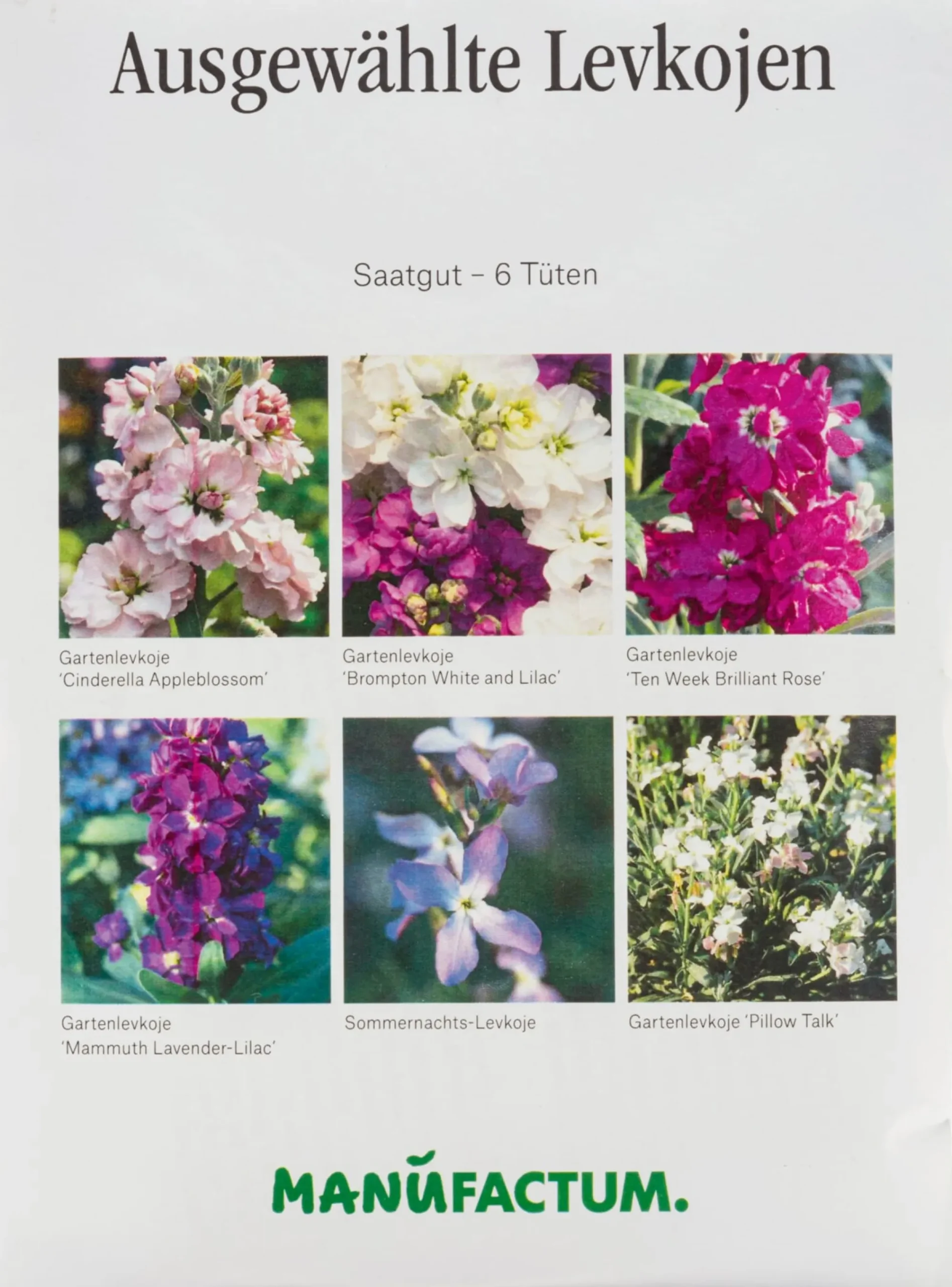 Blumensamen * Manufactum Blumensamen Ausgewählte Levkojen