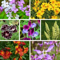 Blumensamen * Manufactum Blumensamen Duftende Blumen