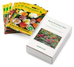 Gartenfackeln|Gartenbeleuchtung * Manufactum Blumensamen für trockene heiße Plätze