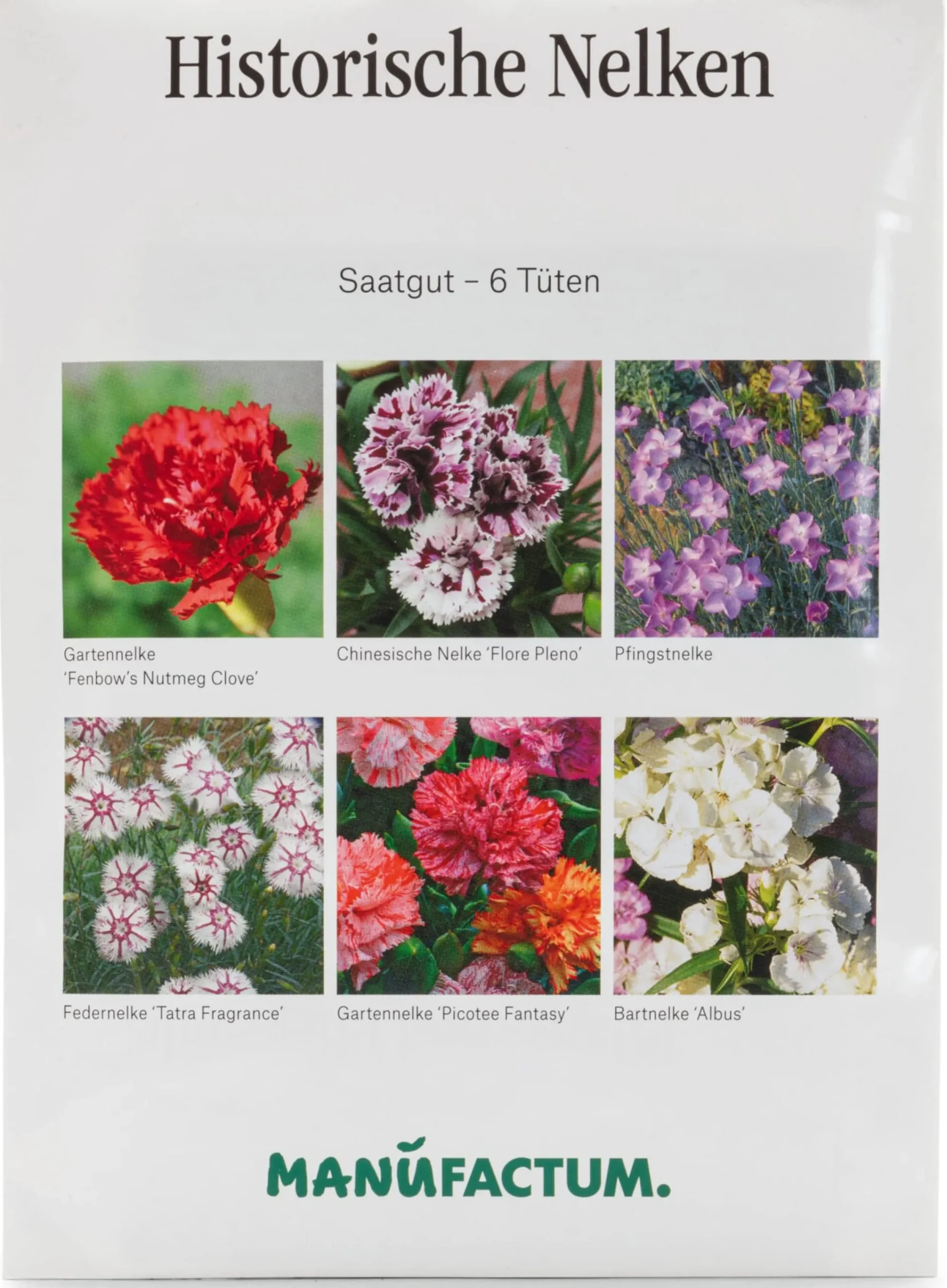 Blumensamen * Manufactum Blumensamen Historische Nelken