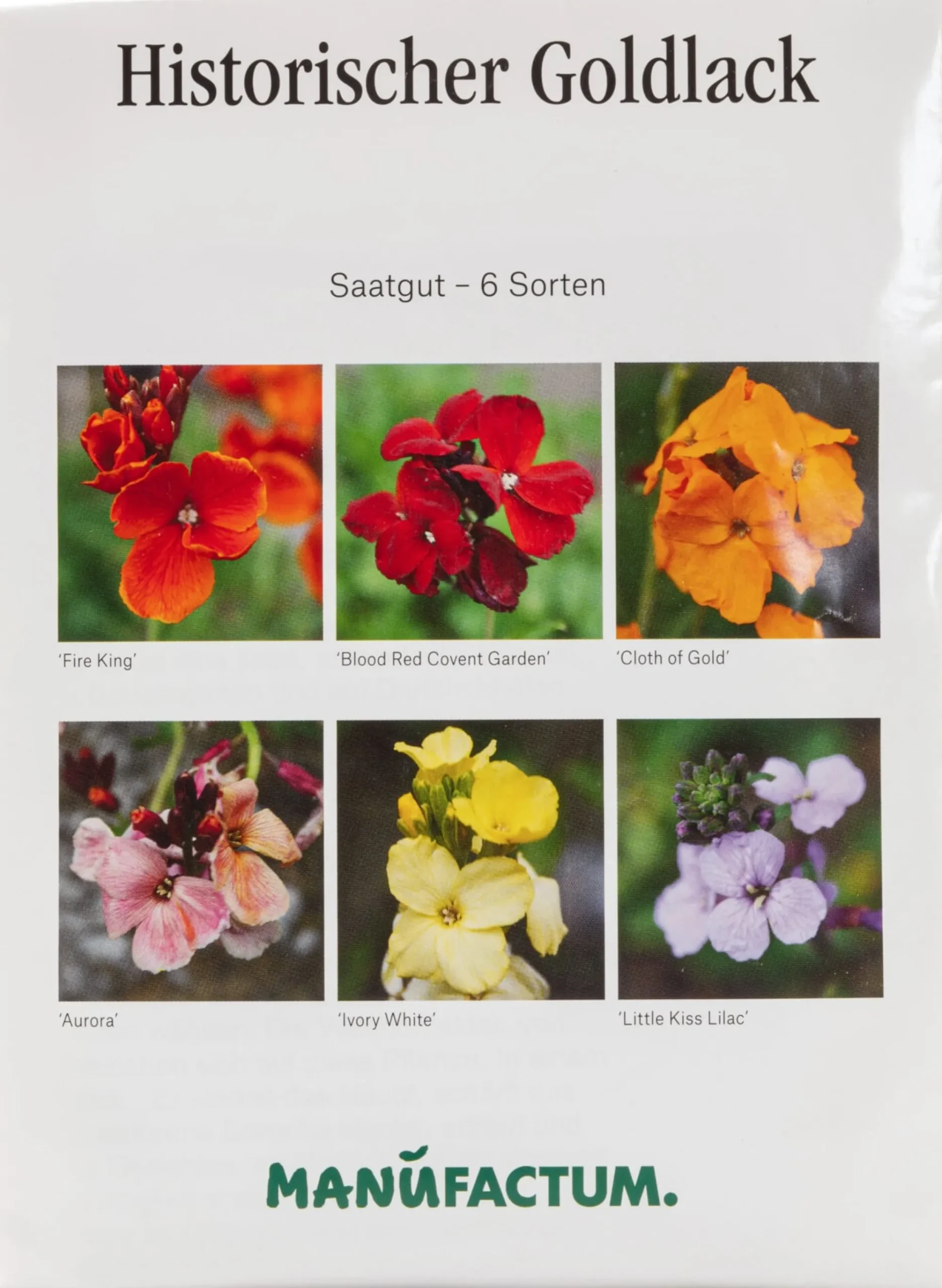 Blumensamen * Manufactum Blumensamen Historischer Goldlack