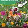 Blumensamen * Samen-Fetzer Blumensamen Mössinger Balkonkastenmischung