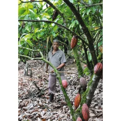 Schokolade * Bonnat Cacao real del Xoconuzco