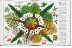 Garten & Natur|Kinderbücher * Gerstenberg Verlag Bäume
