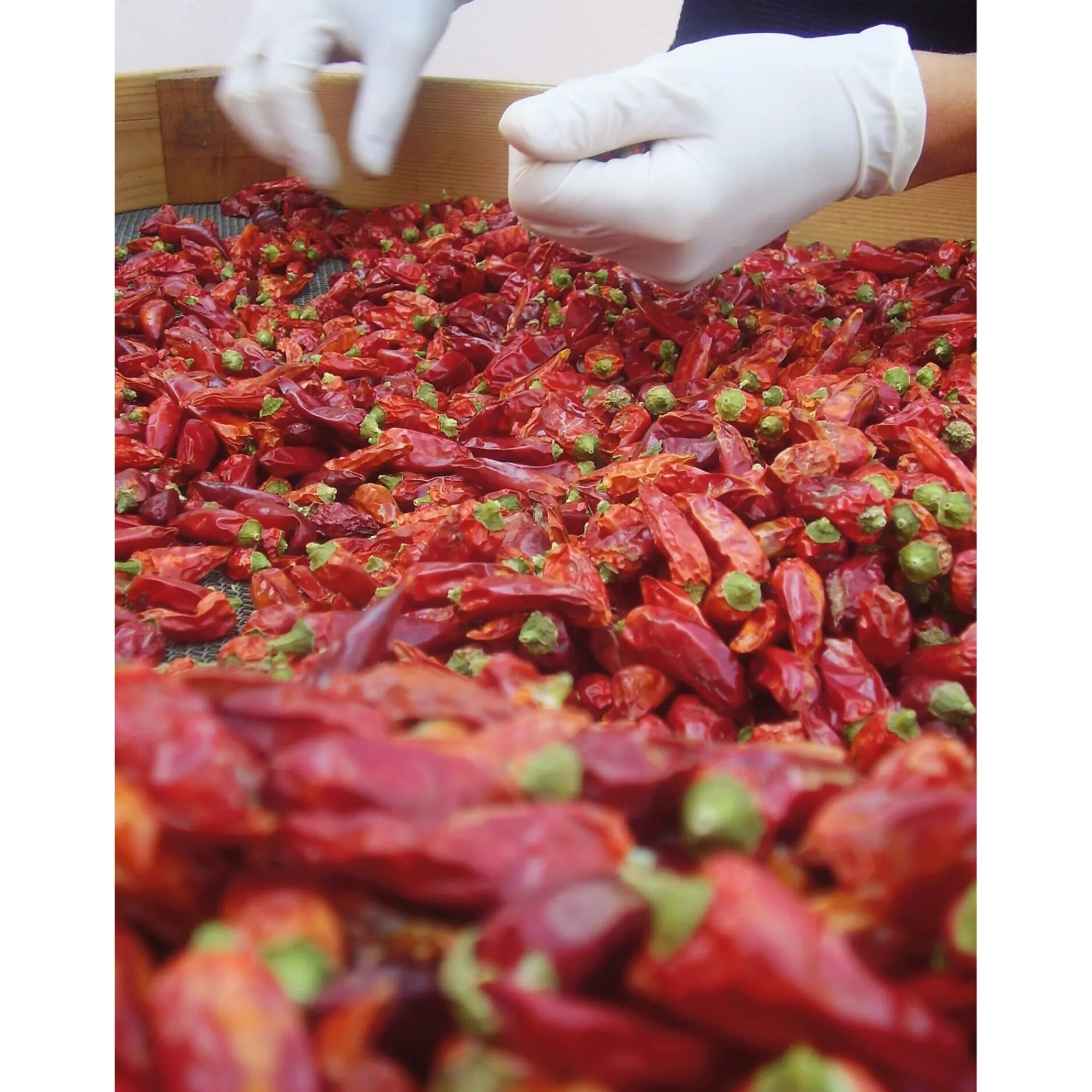 Gewürze * Manufactum Chillies