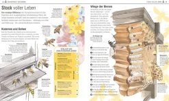 Garten & Natur|Gartenbücher * Dorling Kindersley Verlag Das Bienen Buch