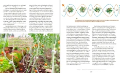 Garten & Natur|Ratgeber * Oekom Verlag Das große Boden-Handbuch