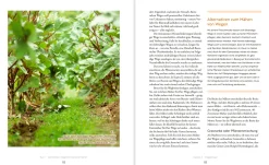 Garten & Natur|Ratgeber * Oekom Verlag Das große Boden-Handbuch