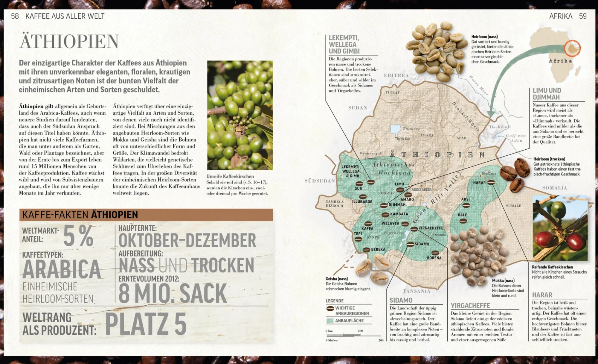 Sachbücher * Dorling Kindersley Verlag Das Kaffee Buch