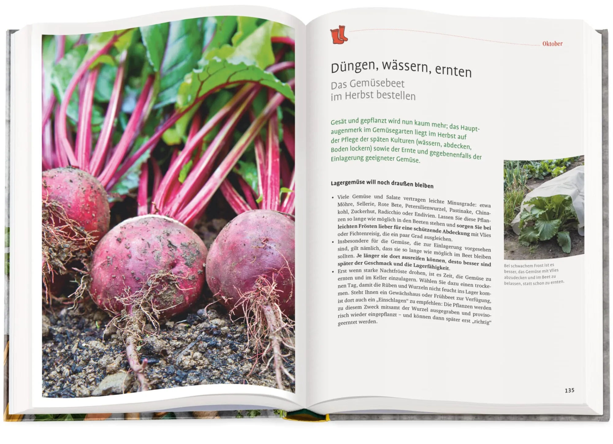 Garten & Natur|Gartenbücher * Ulmer Verlag Das Manufactum Gartenjahr