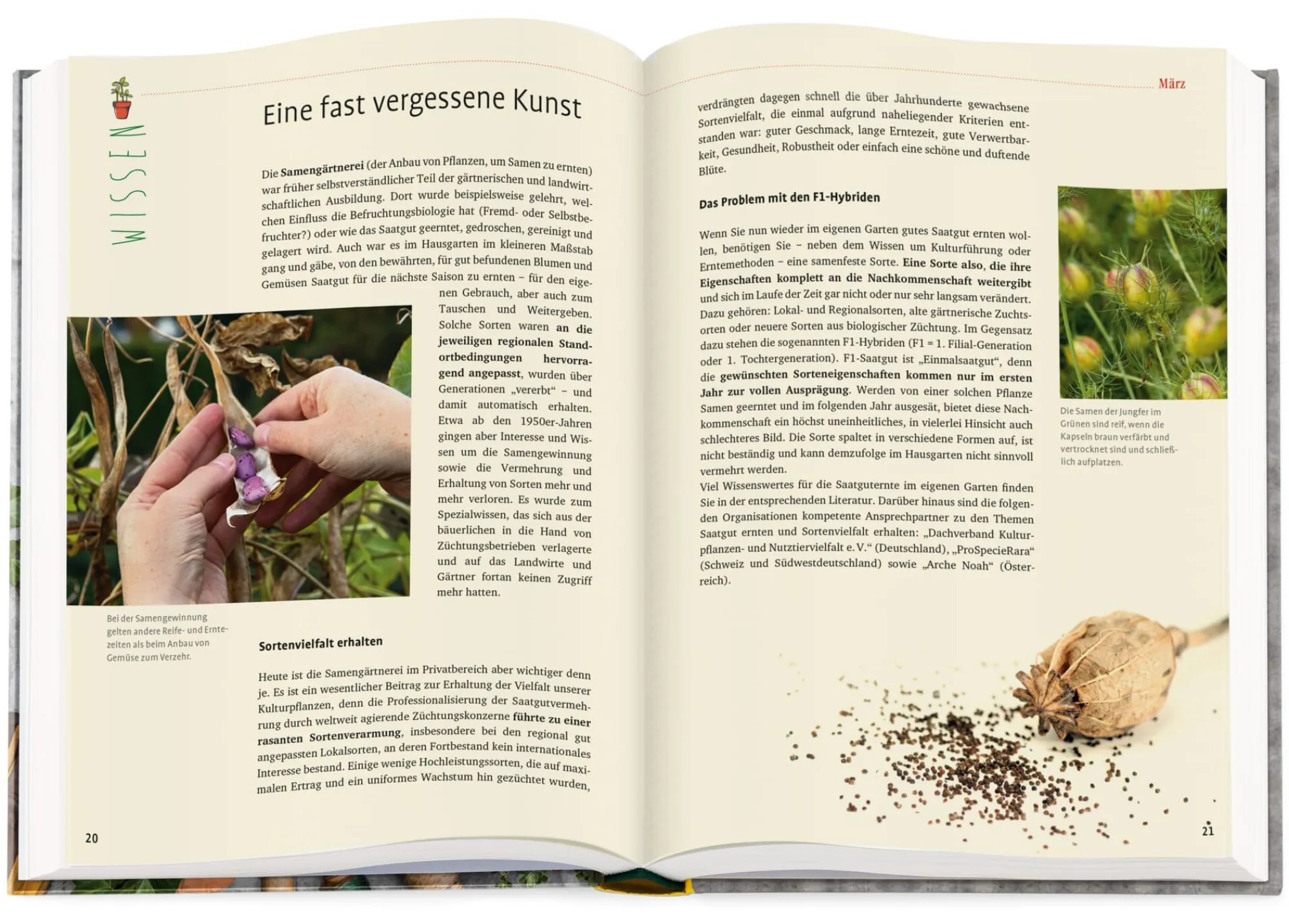 Garten & Natur|Gartenbücher * Ulmer Verlag Das Manufactum Gartenjahr