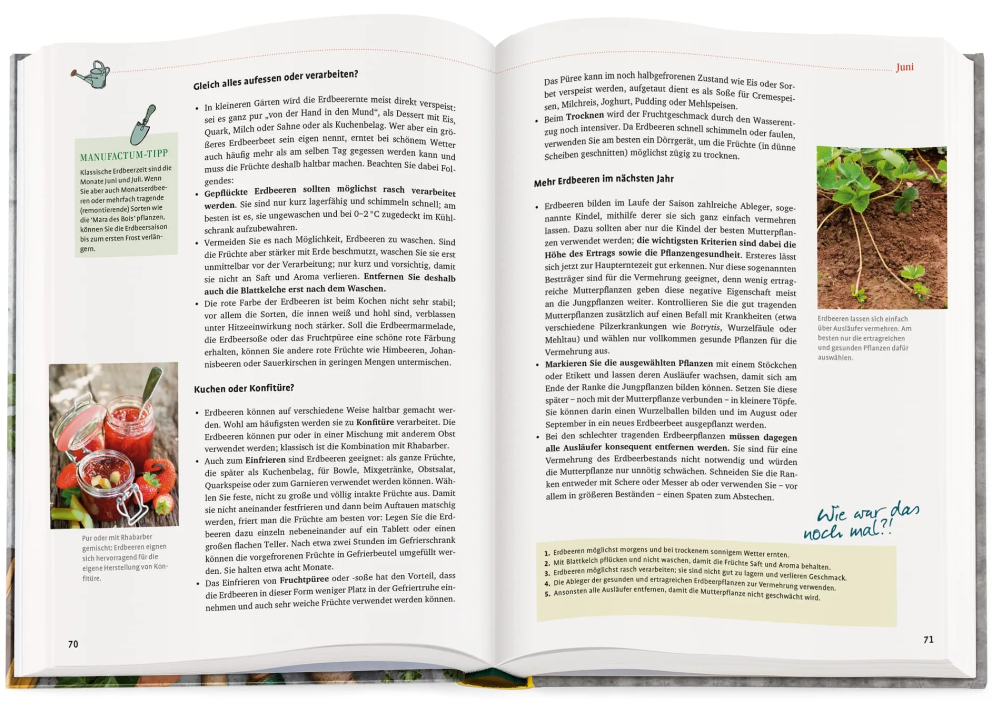 Garten & Natur|Gartenbücher * Ulmer Verlag Das Manufactum Gartenjahr