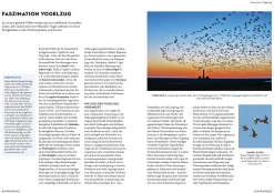 Garten & Natur|Ratgeber * Kosmos Verlag Das NABU-Vogelbuch