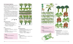 Garten & Natur|Gartenbücher * Löwenzahn Verlag Das phänomenale Erntebeet