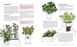 Garten & Natur|Gartenbücher * Löwenzahn Verlag Das phänomenale Erntebeet