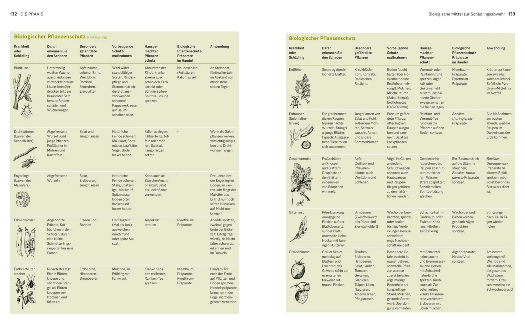 Garten & Natur|Ratgeber * Gräfe und Unzer Verlag Der Biogarten - Das Original