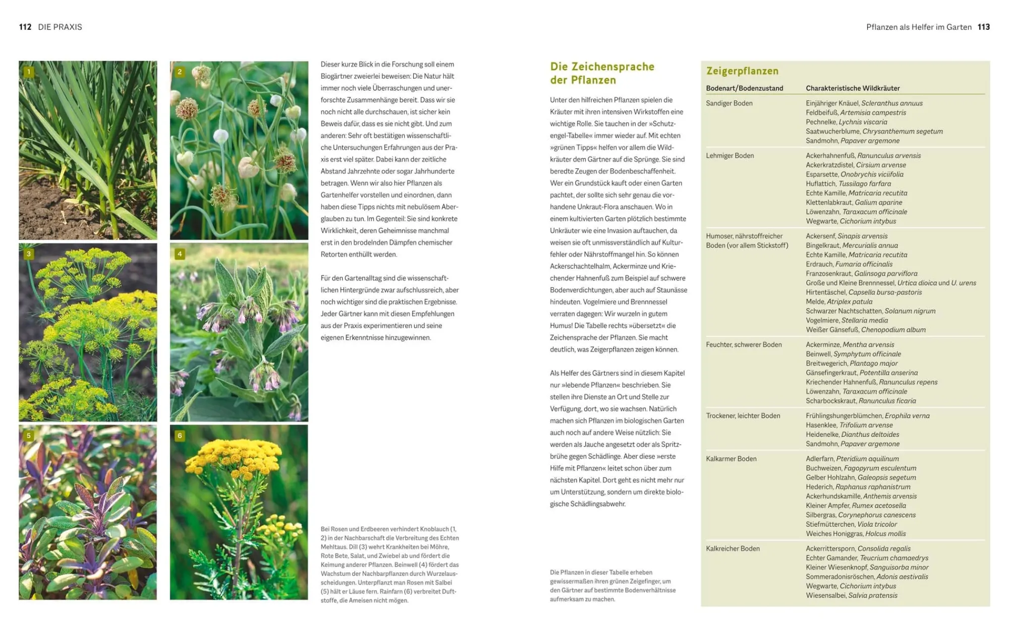 Garten & Natur|Ratgeber * Gräfe und Unzer Verlag Der Biogarten - Das Original