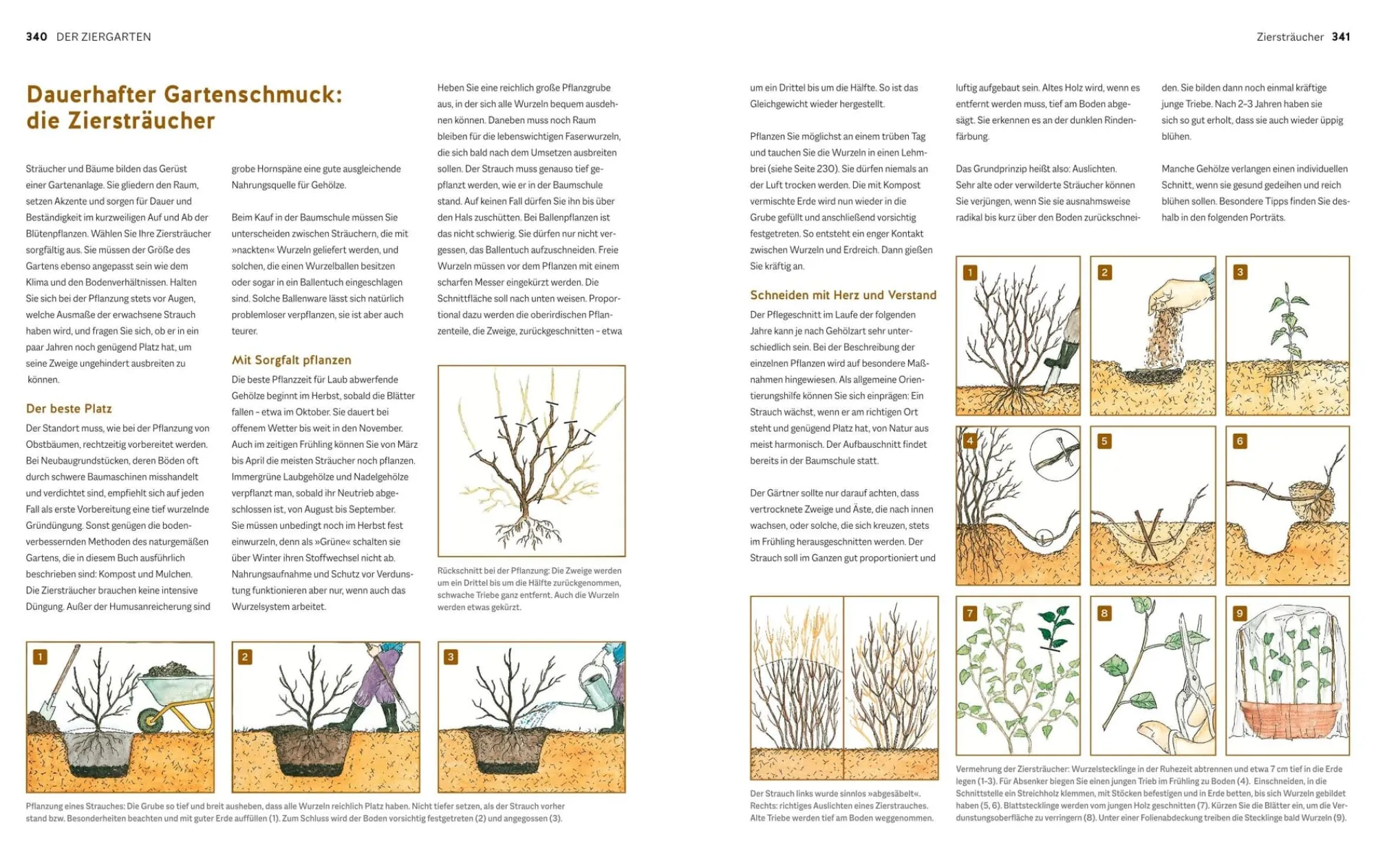 Garten & Natur|Ratgeber * Gräfe und Unzer Verlag Der Biogarten - Das Original