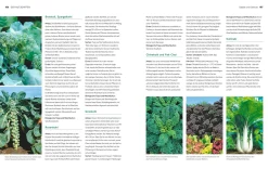 Garten & Natur|Ratgeber * Gräfe und Unzer Verlag Der Biogarten - Das Original