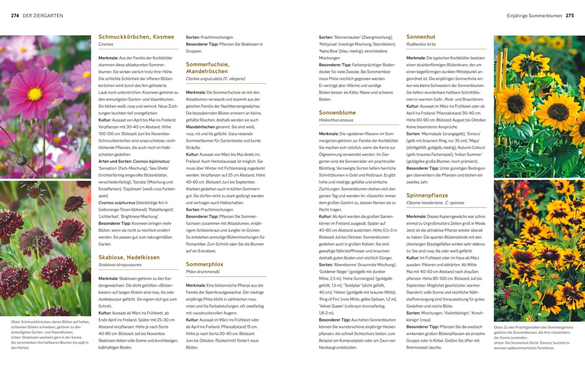 Garten & Natur|Ratgeber * Gräfe und Unzer Verlag Der Biogarten - Das Original