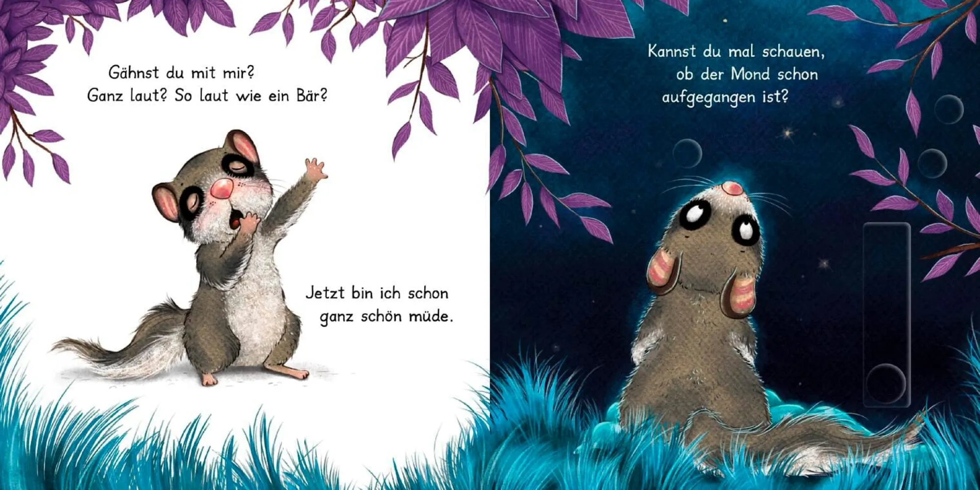 Kinderbücher|Kinderbücher * Thienemann-Esslinger Verlag Der kleine Siebenschläfer: Bringst du mich ins Bett?