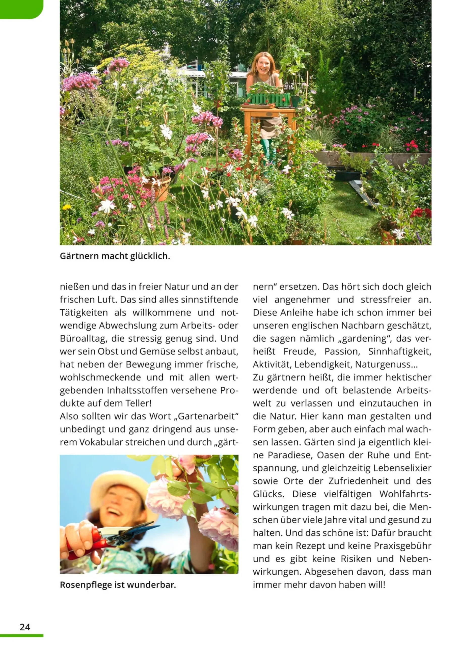 Garten & Natur|Sachbücher * Quelle & Meyer Verlag Der klimafreundliche Garten: So geht‘s!