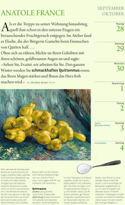 Wandkalender|Zeitplaner & Kalender * Athesia Kalenderverlag Der literarische Küchenkalender 2026